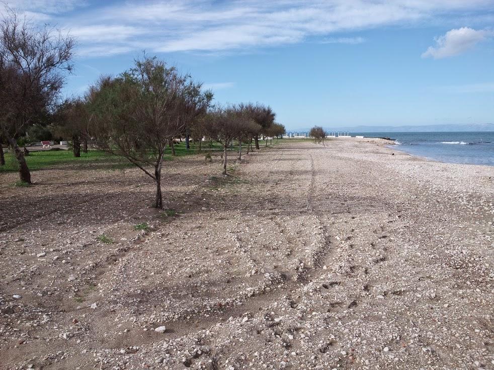 Appartamento Angela Margherita Di Savoia Exterior foto